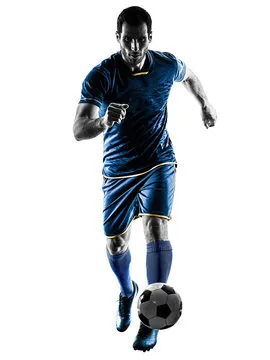 爱游戏体育 主要标志